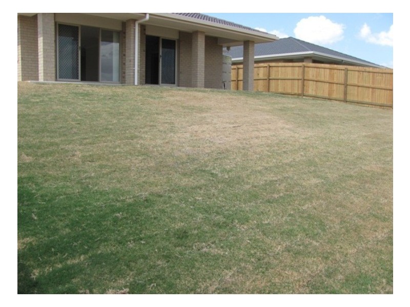7 Fleet Street, Calliope QLD 4680