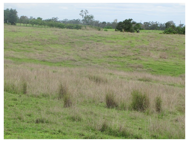 00 Fox Lane, Mount Larcom QLD 4695