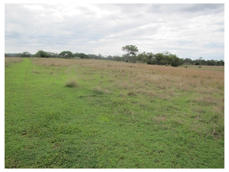 00 Fox Lane, Mount Larcom QLD 4695