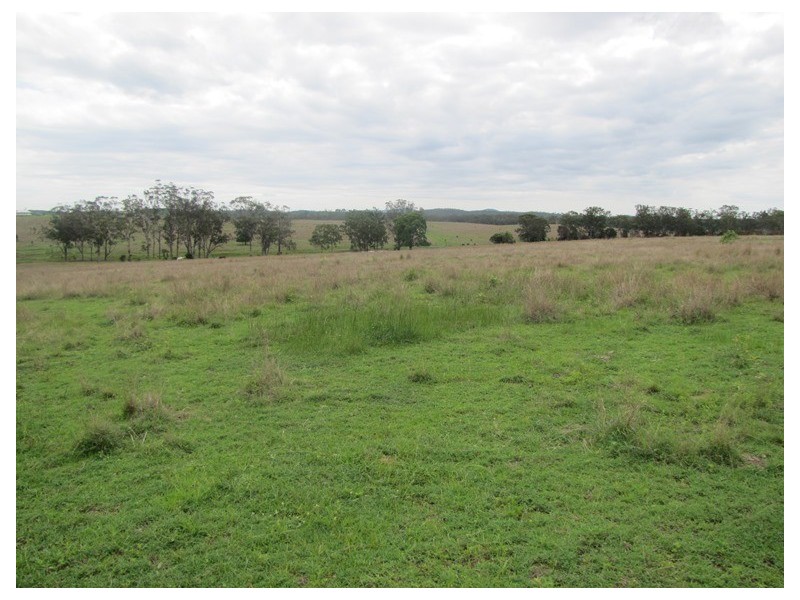 00 Fox Lane, Mount Larcom QLD 4695