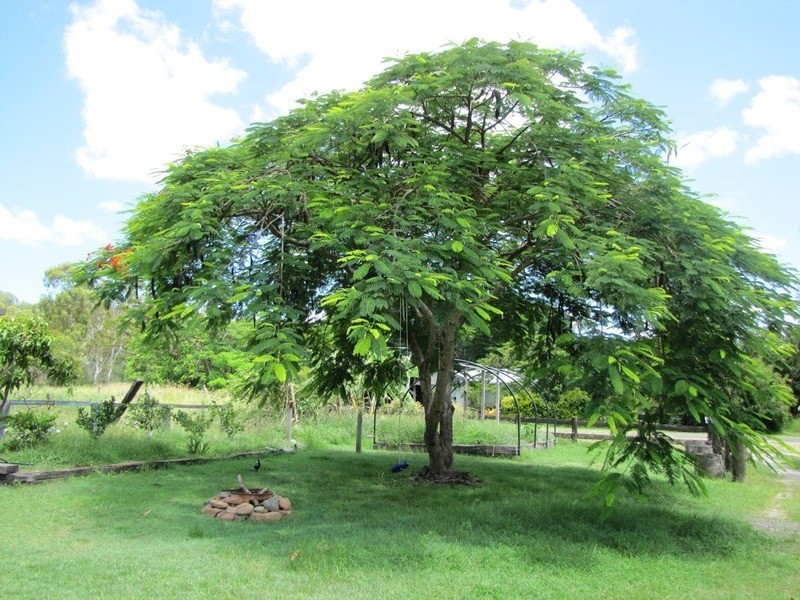 5 Wattle Lane, Boyne Valley QLD 4680