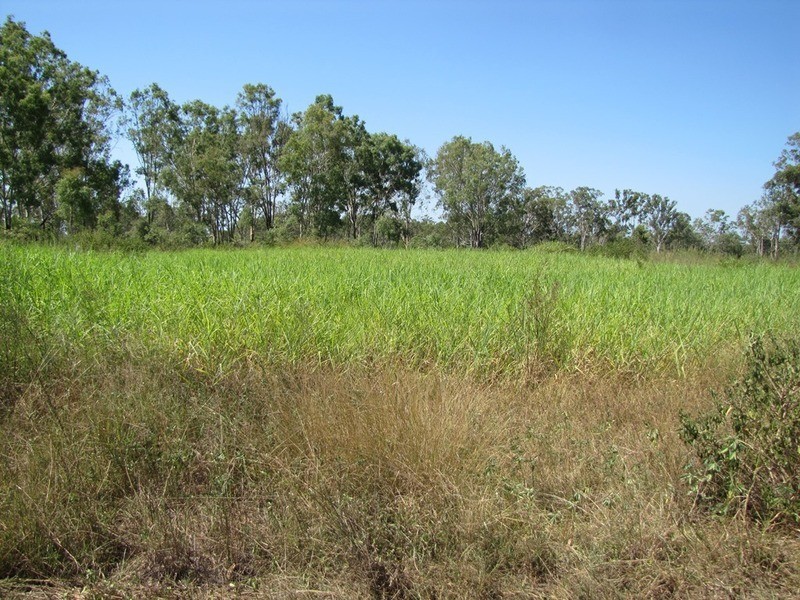 260 Gentle Annie Road, Ambrose QLD 4695