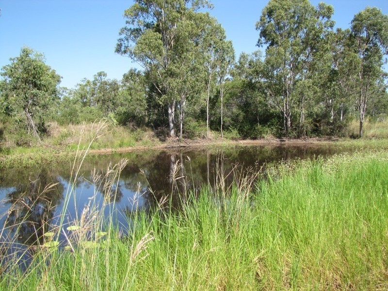 260 Gentle Annie Road, Ambrose QLD 4695