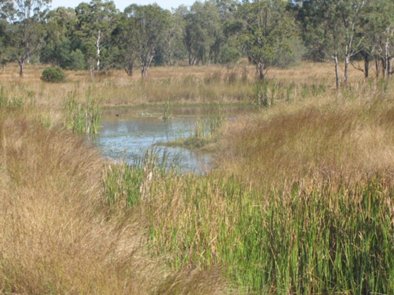 352 Gladstone Monto Road, Calliope QLD 4680