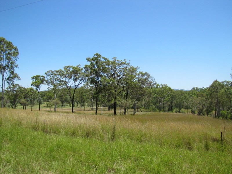115 Otto Road, Iveragh QLD 4680
