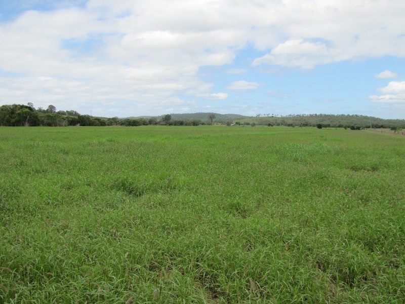 31 Duncan Road, Marmor QLD 4702