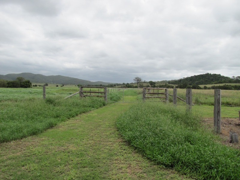 31 Duncan Road, Marmor QLD 4702