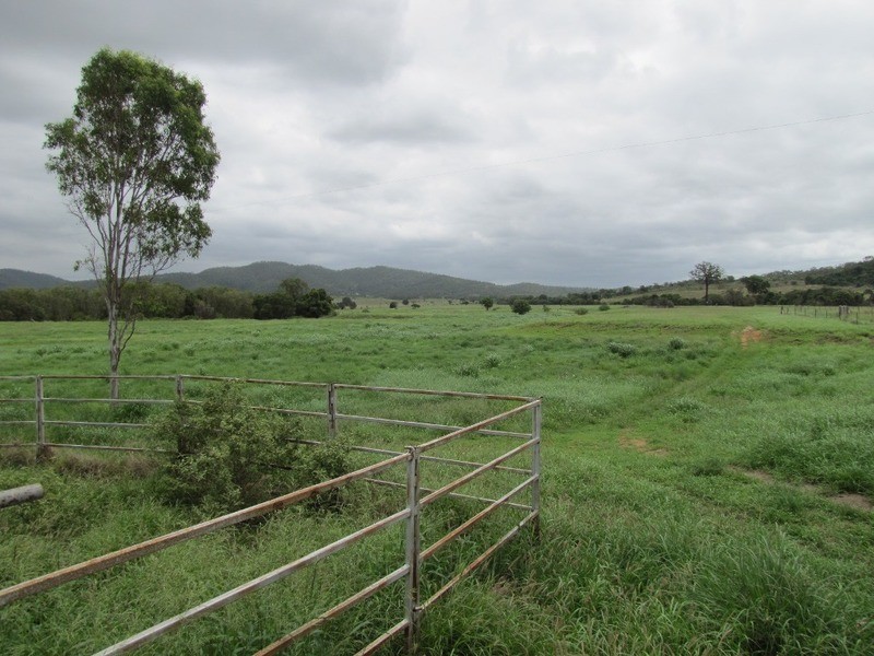 31 Duncan Road, Marmor QLD 4702