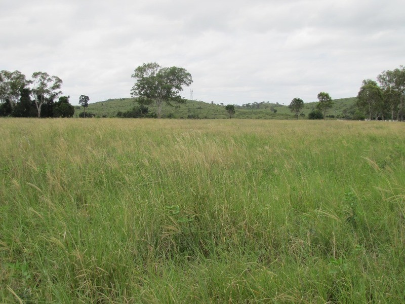 31 Duncan Road, Marmor QLD 4702