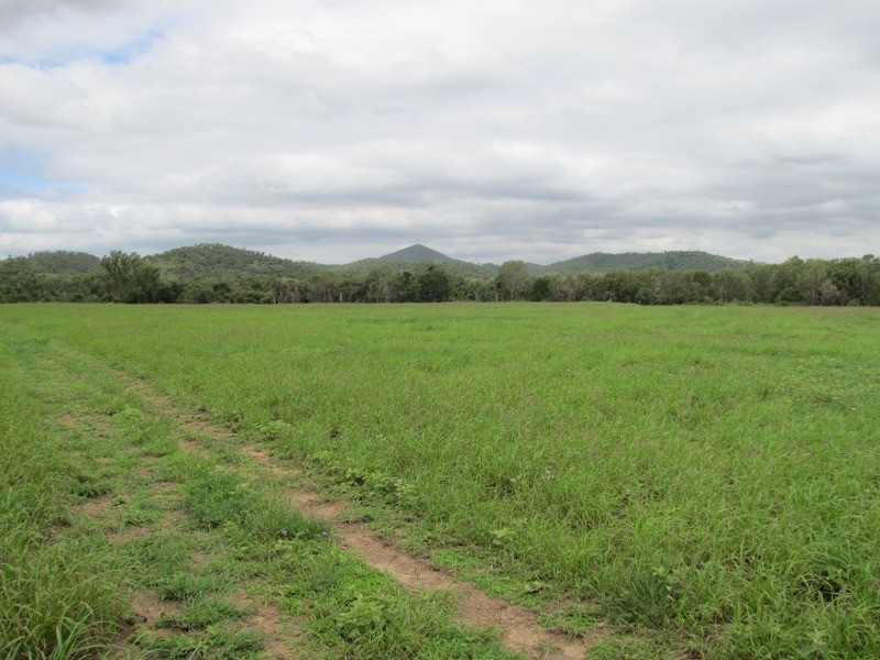 31 Duncan Road, Marmor QLD 4702