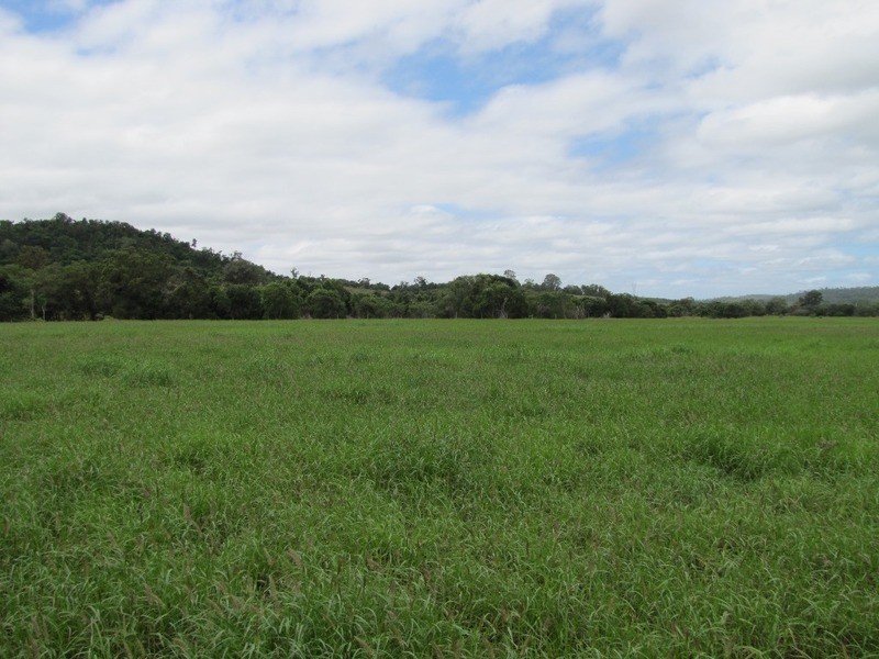 31 Duncan Road, Marmor QLD 4702