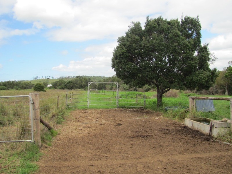 31 Duncan Road, Marmor QLD 4702