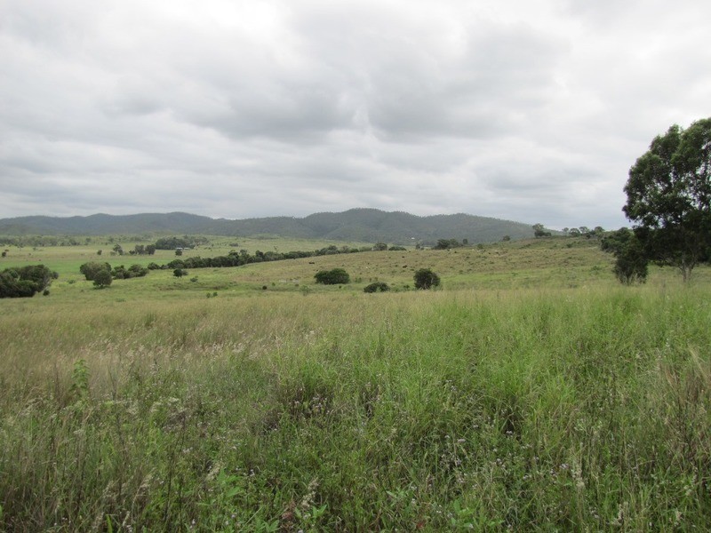 31 Duncan Road, Marmor QLD 4702