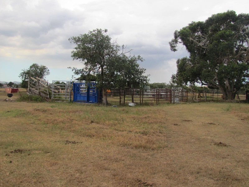 721 Mount Larcom Bracewell Road, Machine Creek QLD 4695