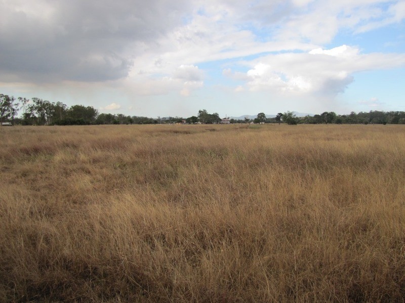 721 Mount Larcom Bracewell Road, Machine Creek QLD 4695