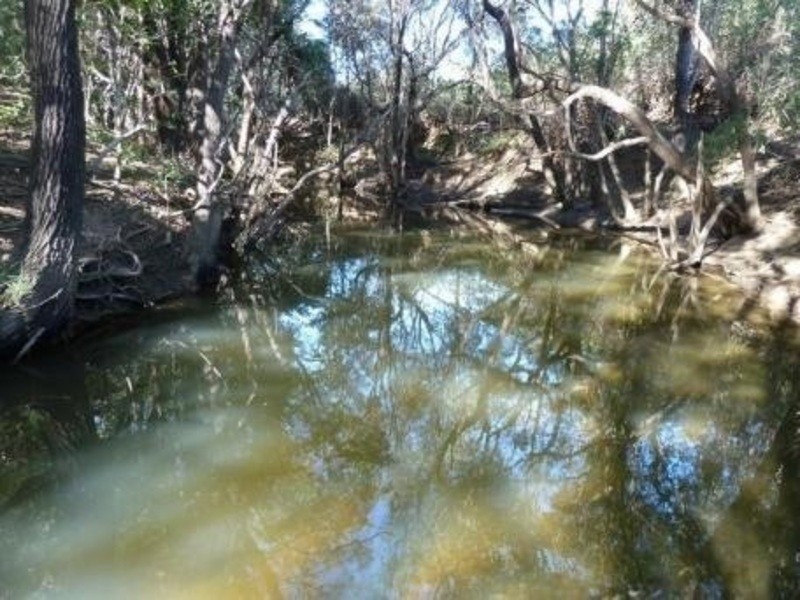 721 Mount Larcom Bracewell Road, Machine Creek QLD 4695