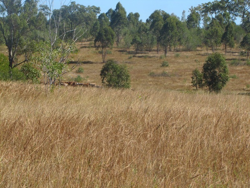 892 Gladstone – Monto Road, Calliope QLD 4680