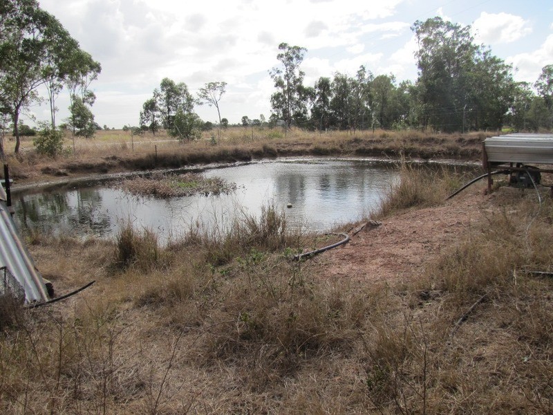 655 Mount Larcom Bracewell Road, Mount Larcom QLD 4695