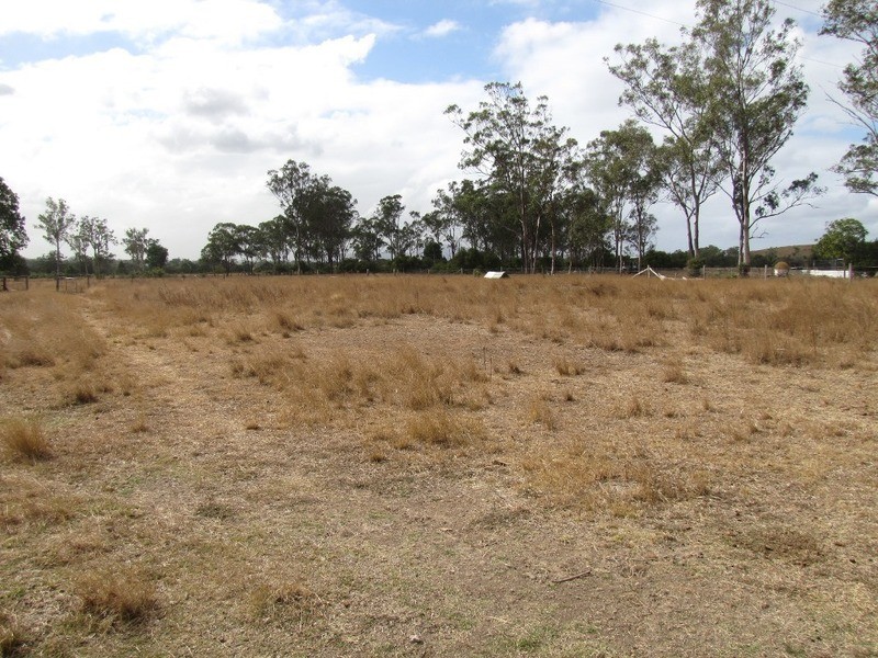 655 Mount Larcom Bracewell Road, Mount Larcom QLD 4695