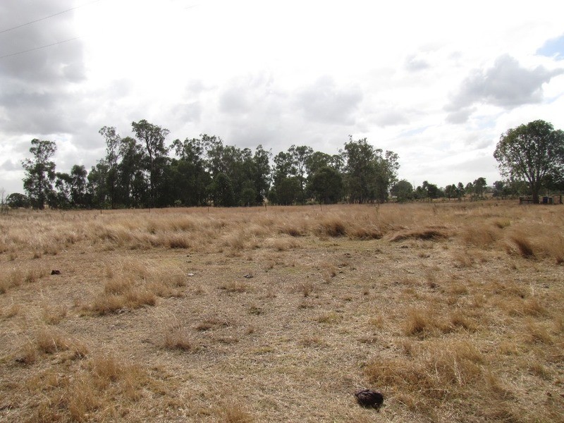 655 Mount Larcom Bracewell Road, Mount Larcom QLD 4695