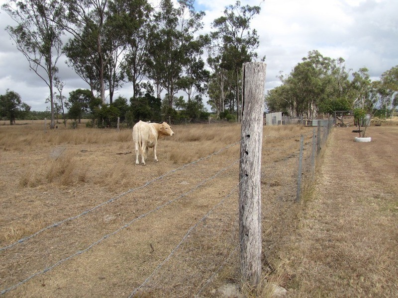 655 Mount Larcom Bracewell Road, Mount Larcom QLD 4695