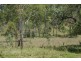3715 Tableland Road, Diglum QLD 4680