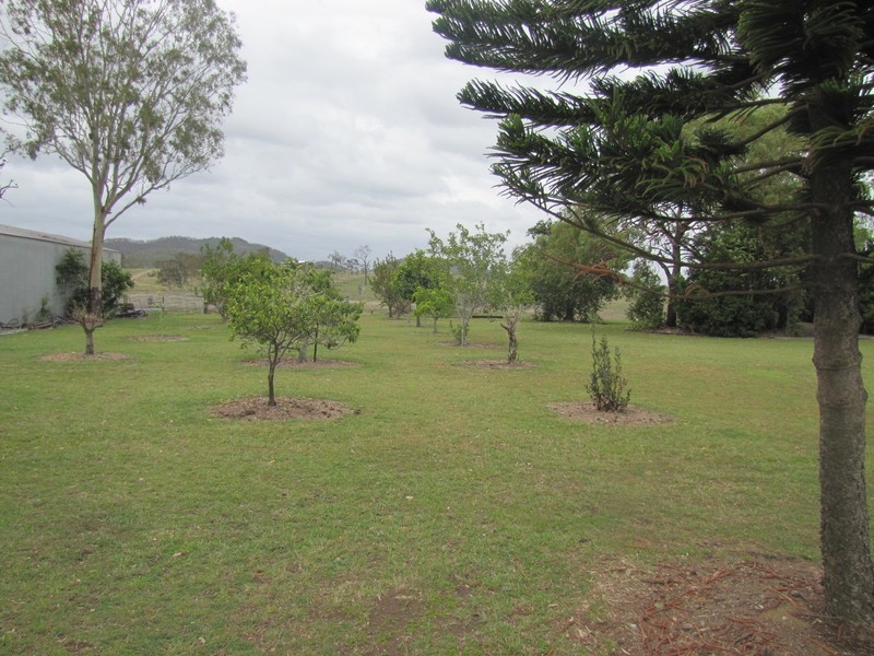 637 The Narrows Road, Mount Larcom QLD 4695