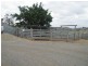 637 The Narrows Road, Mount Larcom QLD 4695