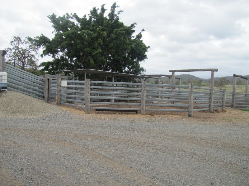 637 The Narrows Road, Mount Larcom QLD 4695