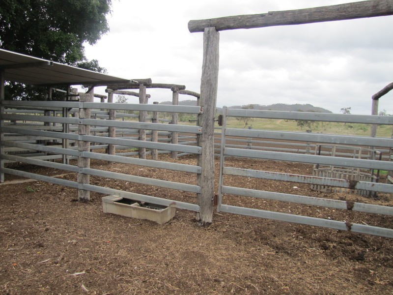637 The Narrows Road, Mount Larcom QLD 4695