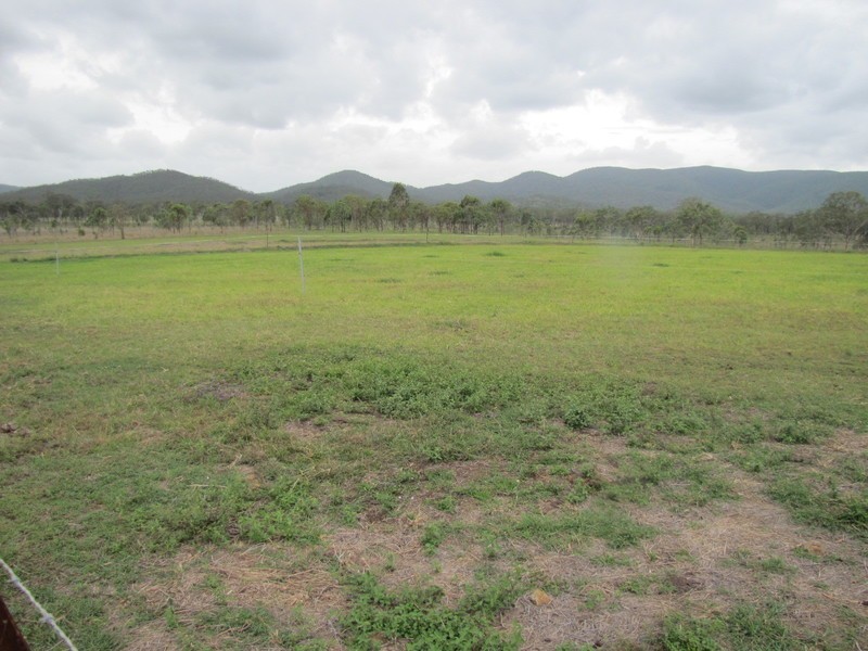 637 The Narrows Road, Mount Larcom QLD 4695