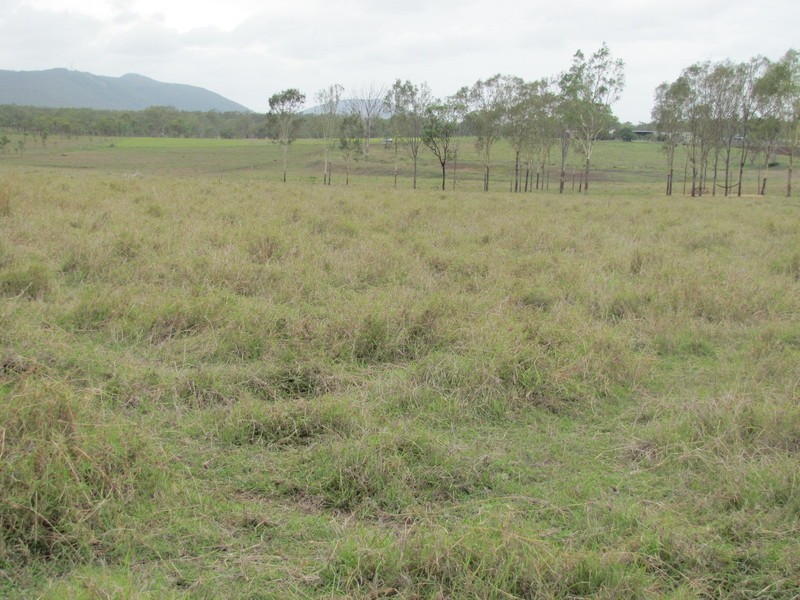 637 The Narrows Road, Mount Larcom QLD 4695