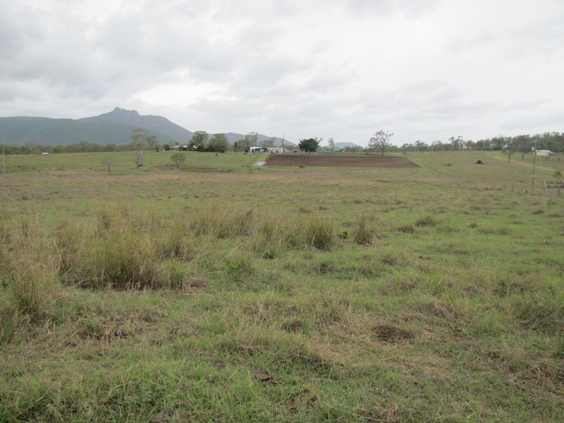 637 The Narrows Road, Mount Larcom QLD 4695