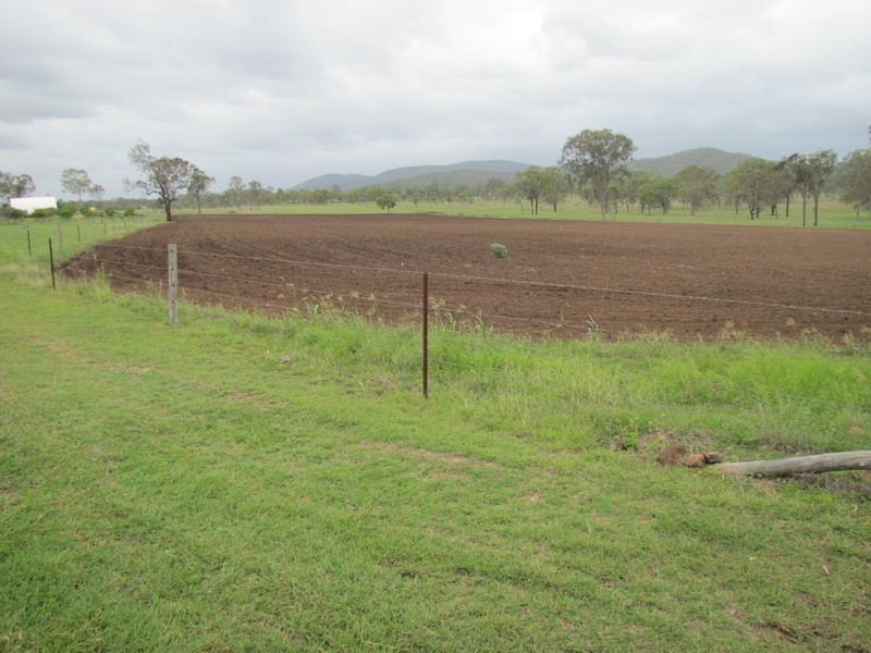 637 The Narrows Road, Mount Larcom QLD 4695