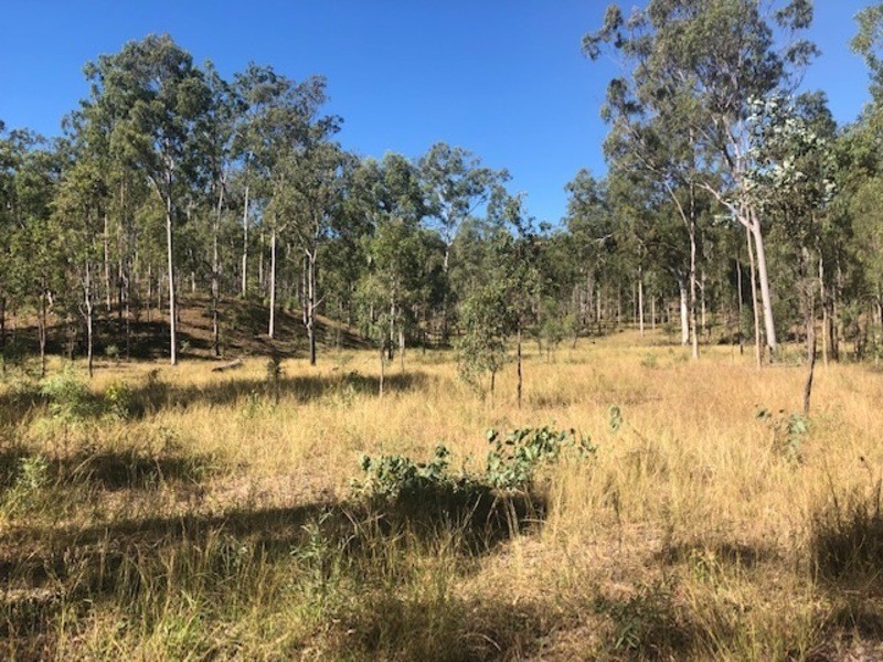 00 Off Unnamed Road, Calliope QLD 4680