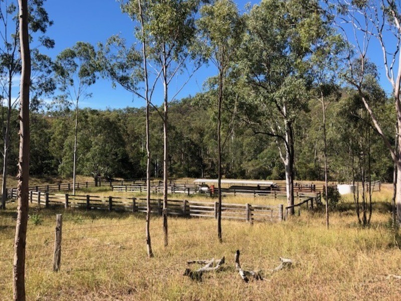 00 Off Unnamed Road, Calliope QLD 4680