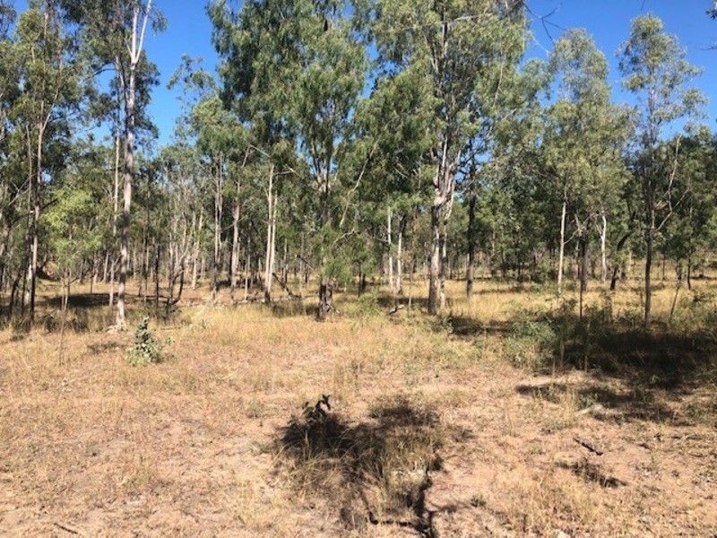 00 Off Unnamed Road, Calliope QLD 4680