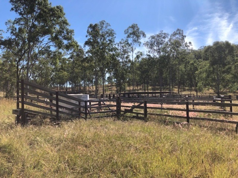 00 Off Unnamed Road, Calliope QLD 4680