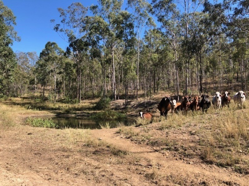 00 Off Unnamed Road, Calliope QLD 4680