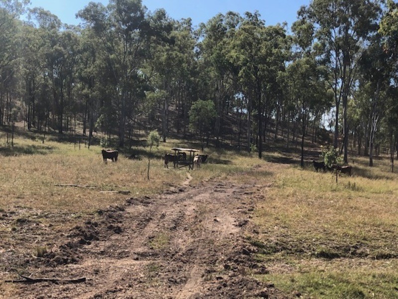 00 Off Unnamed Road, Calliope QLD 4680