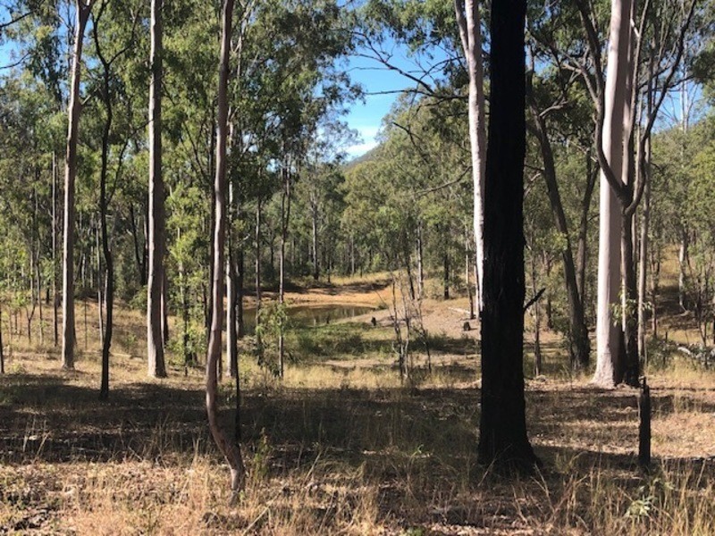 00 Off Unnamed Road, Calliope QLD 4680