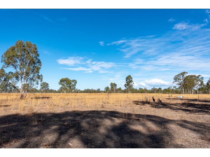 14 Orion Terrace, River Ranch QLD 4680