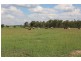 119 Dunnetts Road, Bracewell QLD 4695