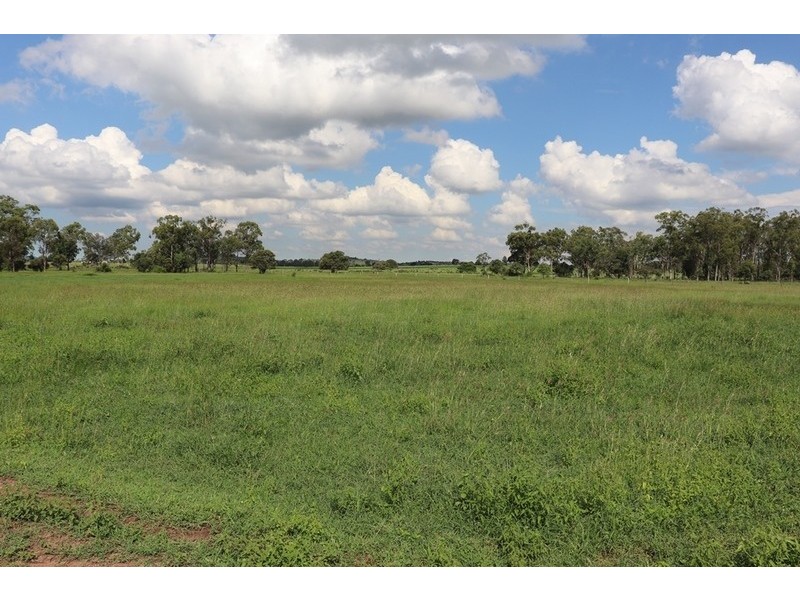 119 Dunnetts Road, Bracewell QLD 4695