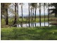 119 Dunnetts Road, Bracewell QLD 4695