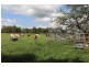 119 Dunnetts Road, Bracewell QLD 4695