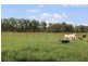 119 Dunnetts Road, Bracewell QLD 4695