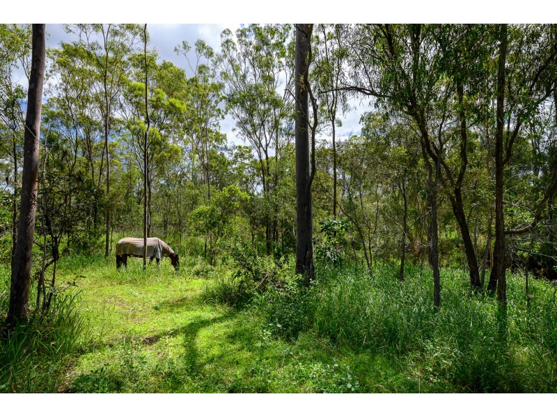 43 Chamberlain Road, Burua QLD 4680