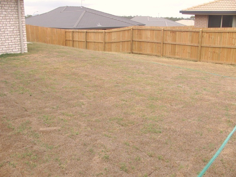 3 Woodward Avenue, Calliope QLD 4680