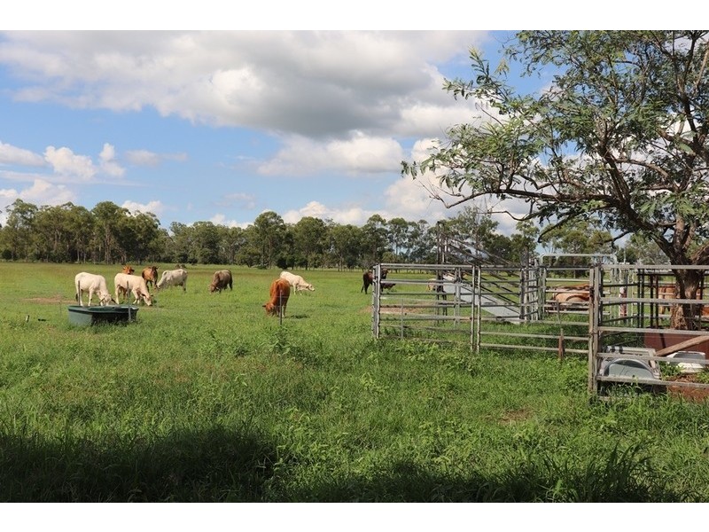 119 Dunnetts Road, Bracewell QLD 4695